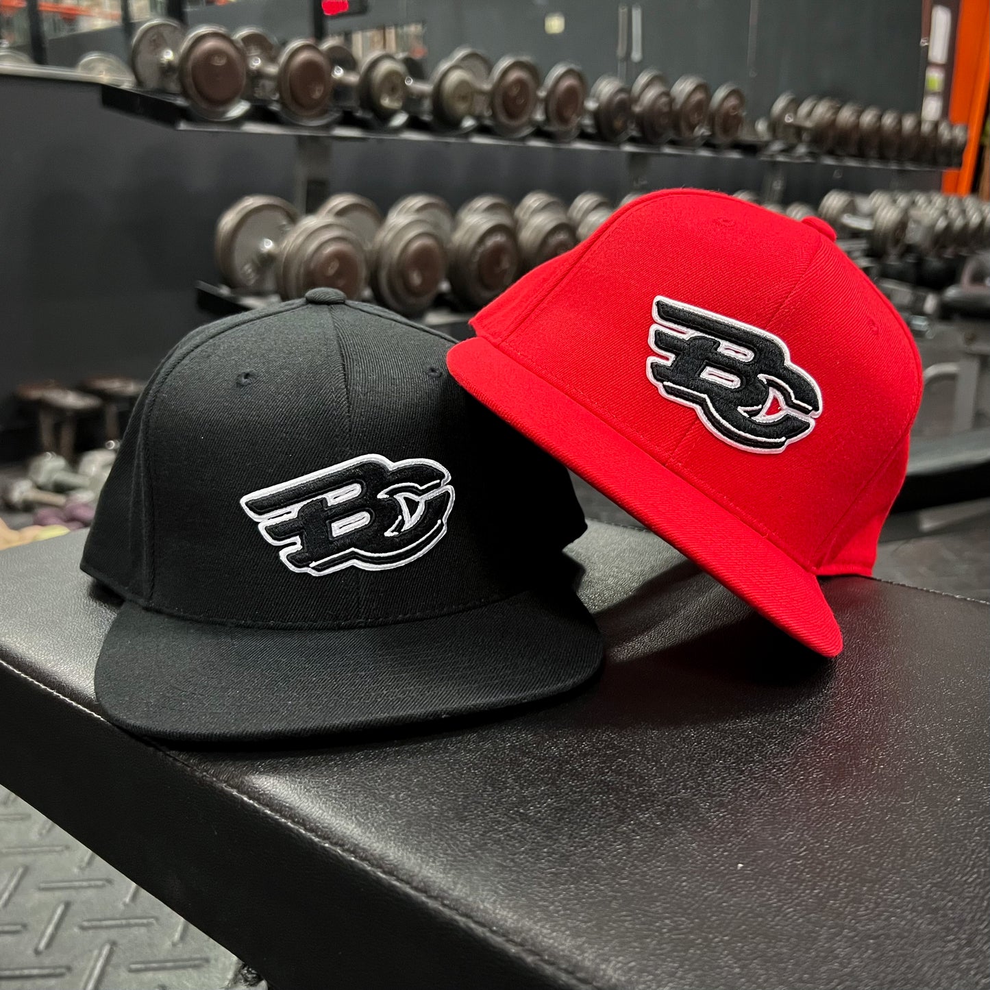 Birdman Snapback