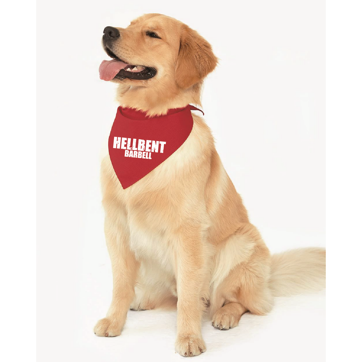 Hellbent Dog Bandana